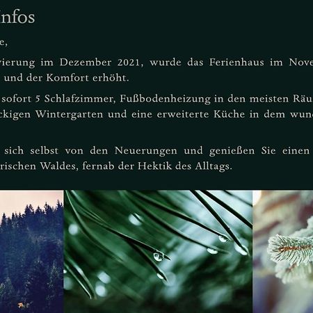 Ferienhaus Bayerischer Wald Regen Exteriér fotografie