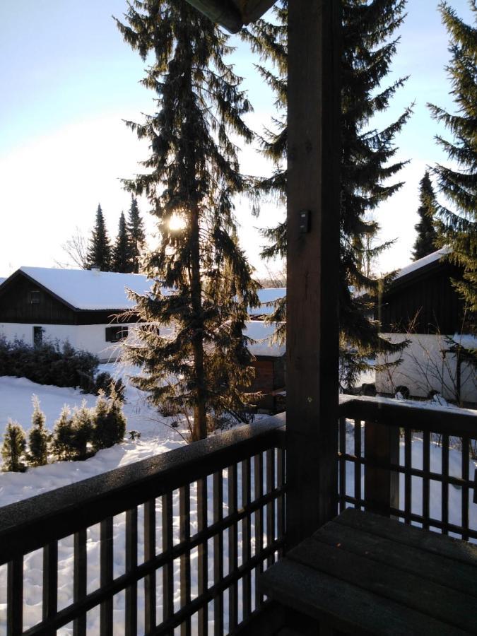 Ferienhaus Bayerischer Wald Regen Exteriér fotografie