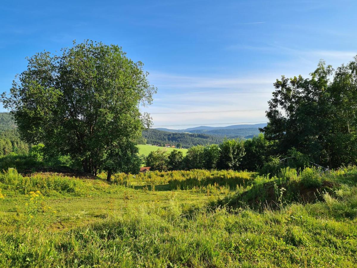 Ferienhaus Bayerischer Wald Regen Exteriér fotografie